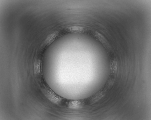 X0000078870717200611201339