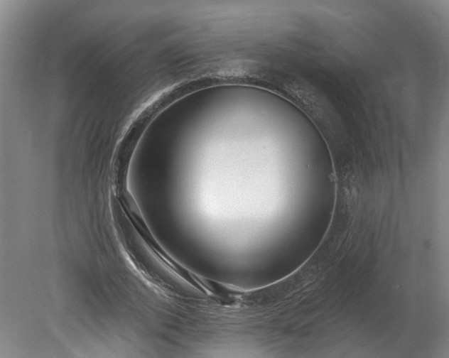 X0000078870728200611201339