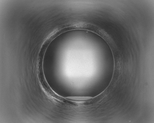 X0000078870730200611201339