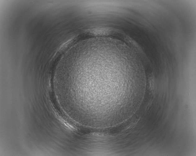 X0000078870733200611201339
