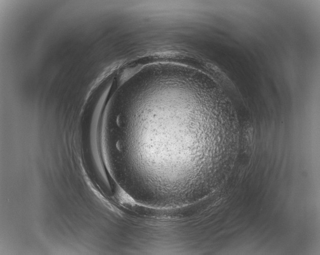 X0000078870734200611201339