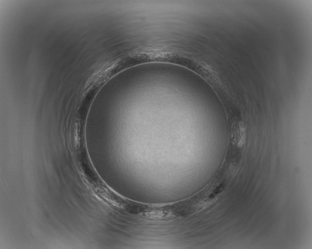 X0000078870740200611201339