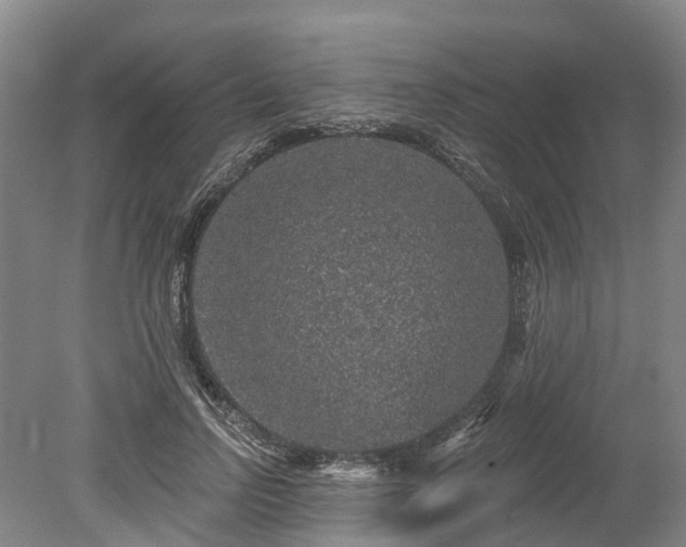 X0000078870742200611201339