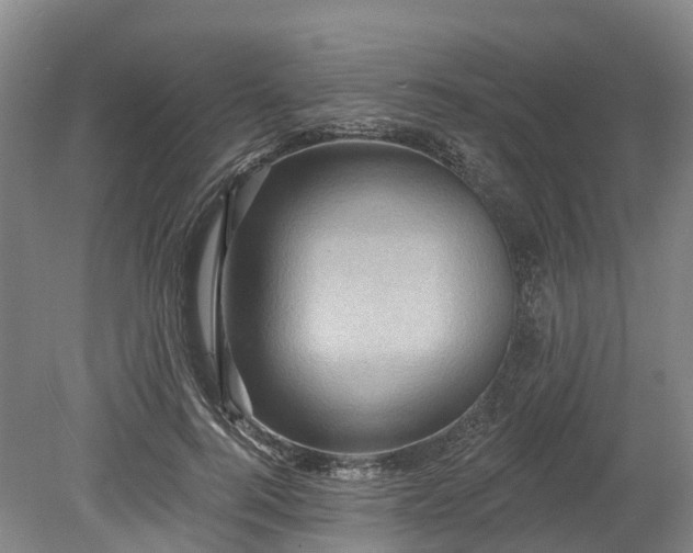 X0000078870744200611201339