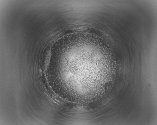 X0000078870745200611201339