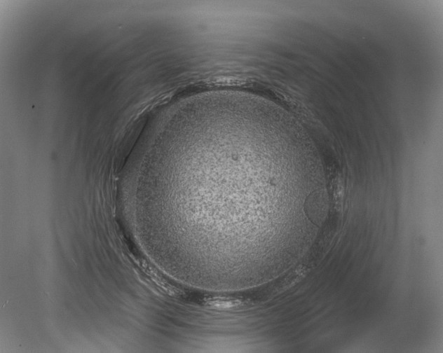 X0000078870746200611201339