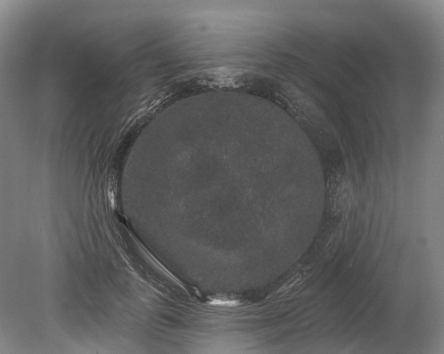 X0000078870747200611201339