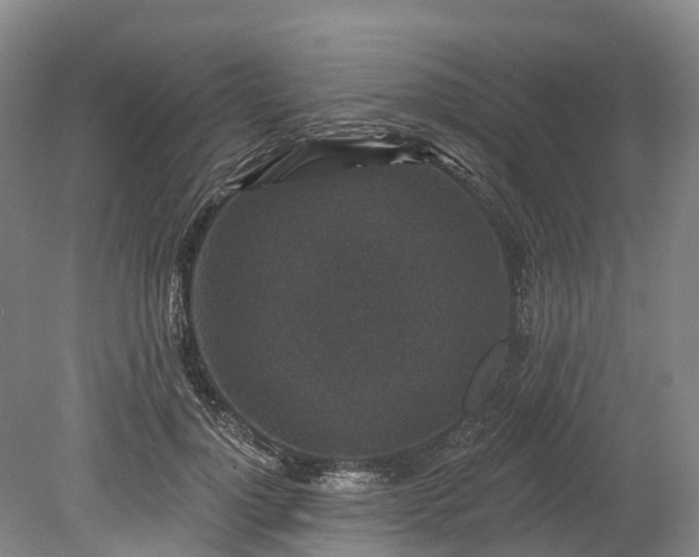 X0000078870748200611201339