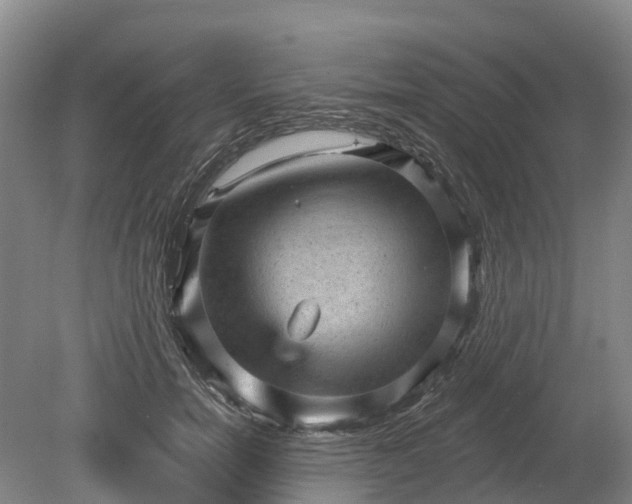 X0000078870750200611201339