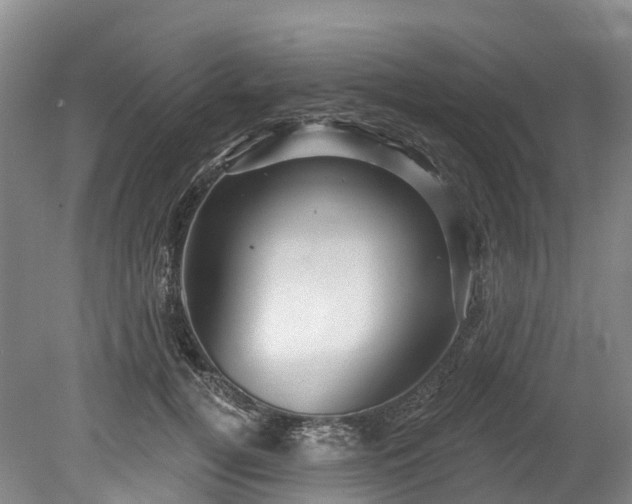 X0000078870752200611201339