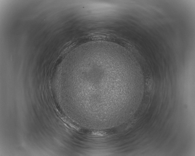 X0000078870753200611201339
