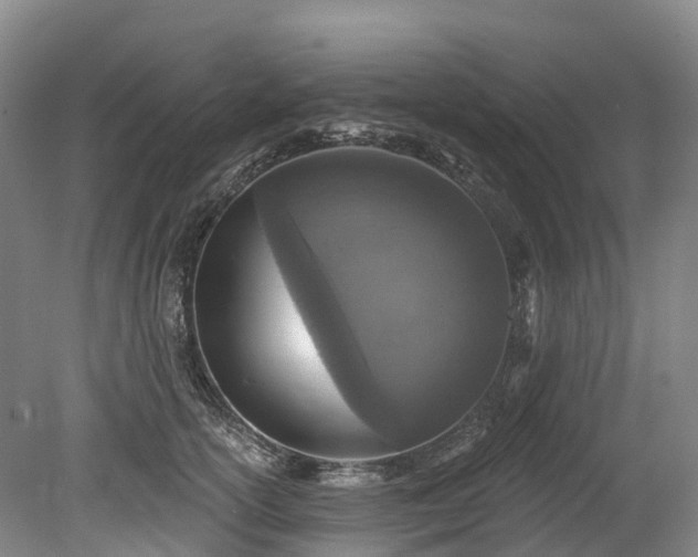 X0000078870754200611201339