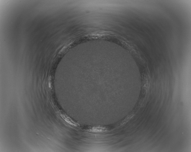 X0000078870758200611201339