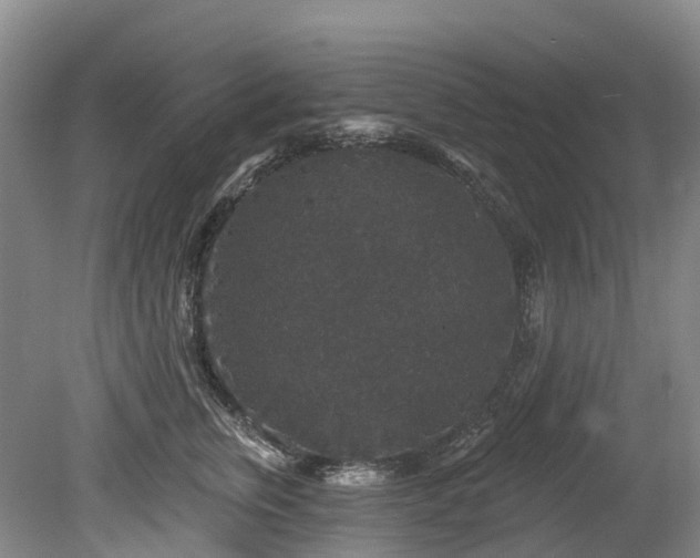 X0000078870759200611201339