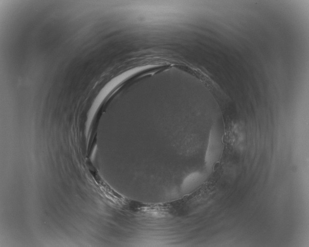 X0000078870763200611201339