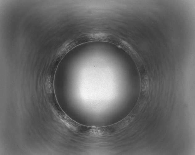 X0000078870764200611201339
