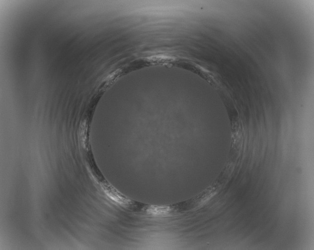X0000078870767200611201339