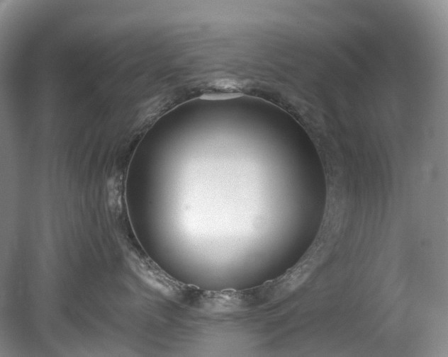 X0000078870768200611201339