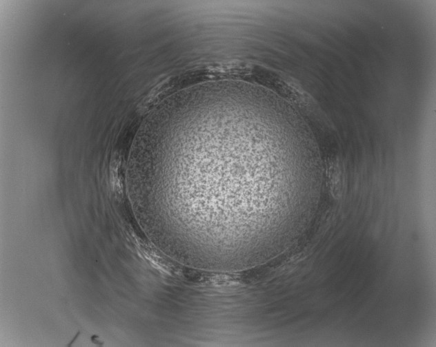 X0000078870770200611201339