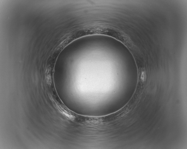 X0000078870771200611201339