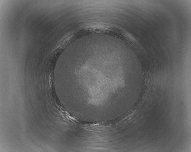 X0000078870774200611201338