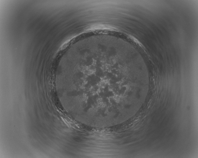 X0000078870775200611201338