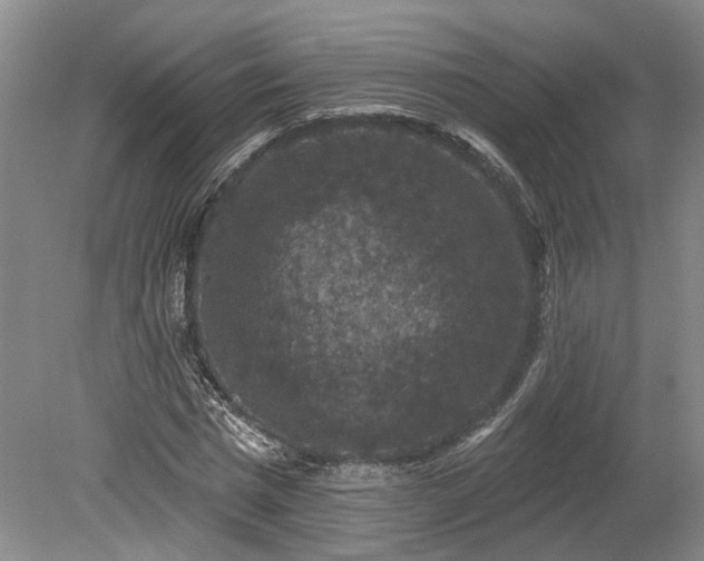 X0000078870777200611201338