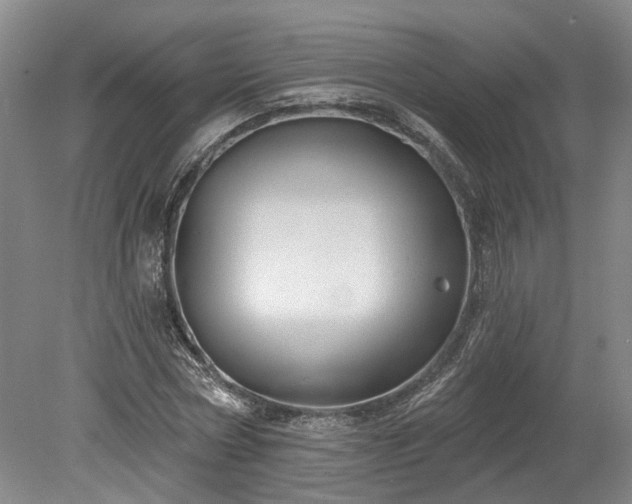 X0000078870778200611201338