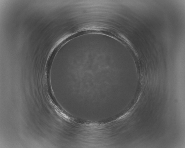 X0000078870779200611201338