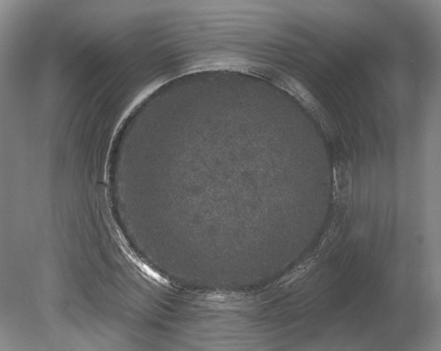 X0000078870780200611201338