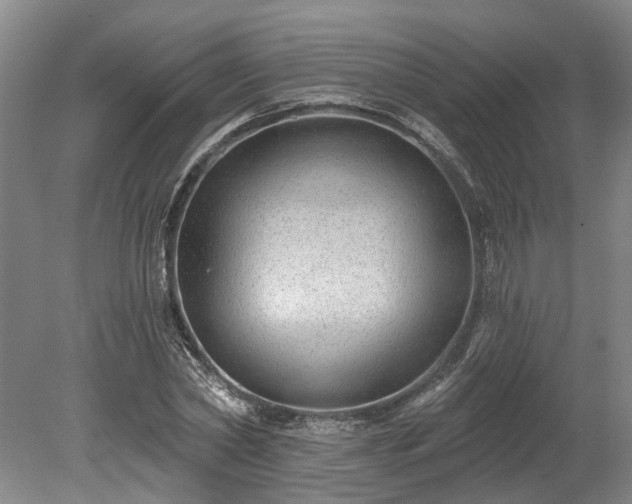 X0000078870782200611201338