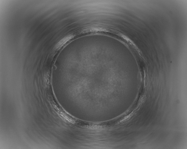 X0000078870785200611201338