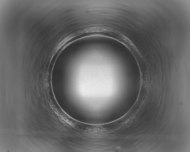 X0000078870786200611201338