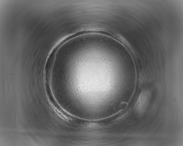 X0000078870787200611201338
