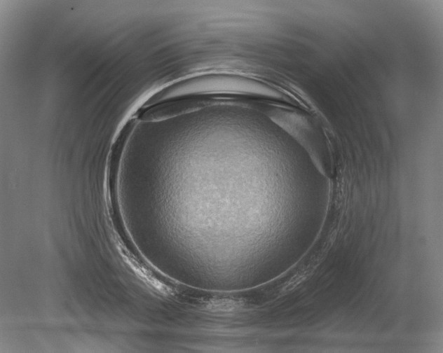 X0000078870788200611201338
