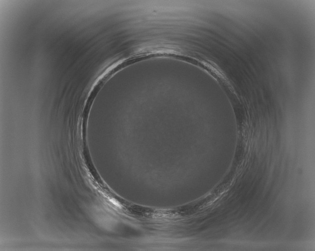 X0000078870790200611201338