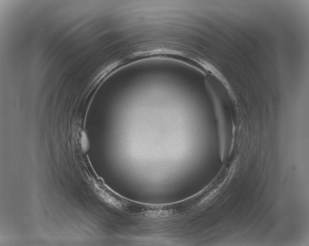 X0000078870793200611201338