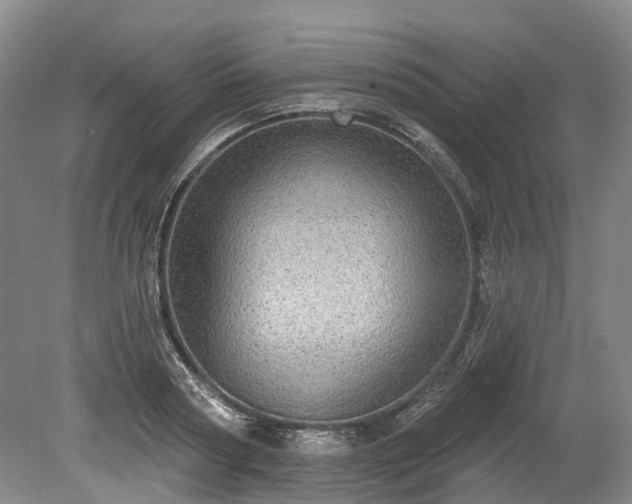 X0000078870794200611201338