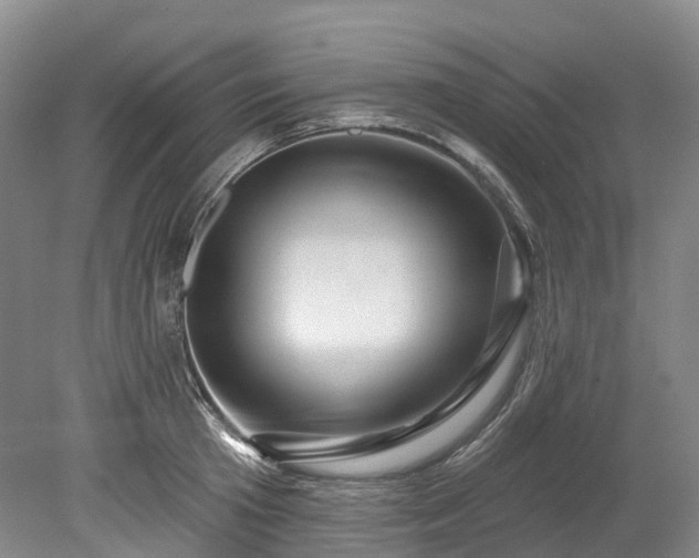 X0000078870801200611201338