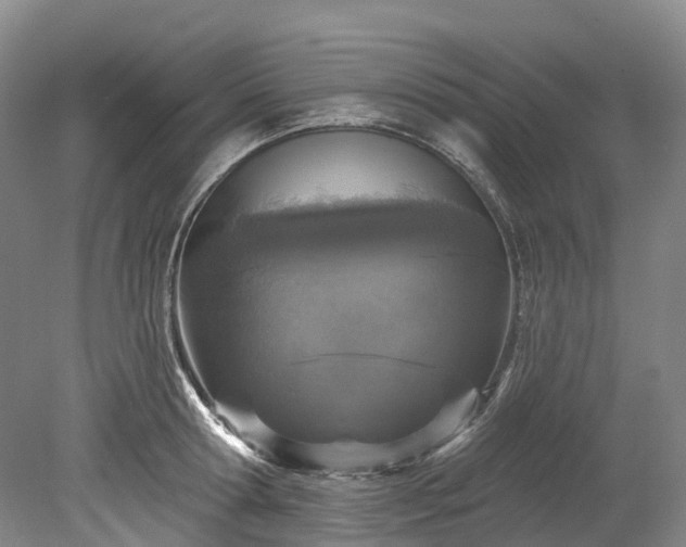 X0000078870802200611201338