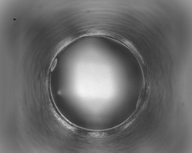 X0000078870805200611201338
