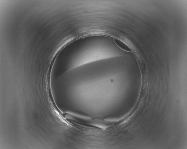 X0000078870806200611201338