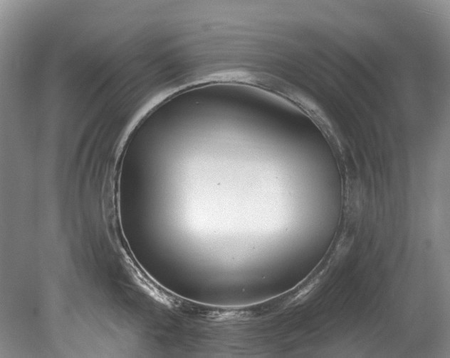 X0000078870808200611201338