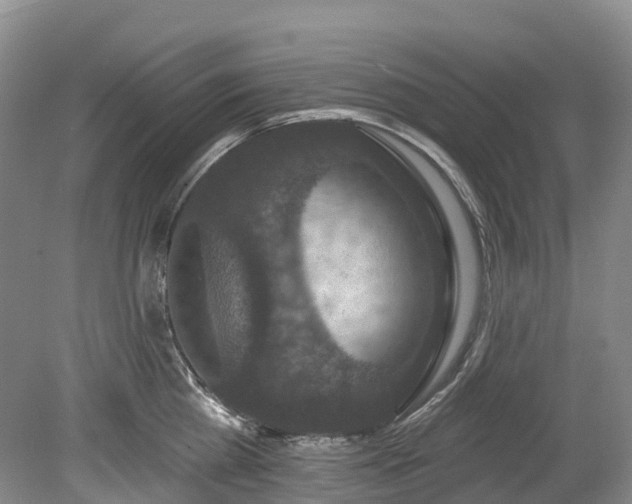 X0000078870809200611201338