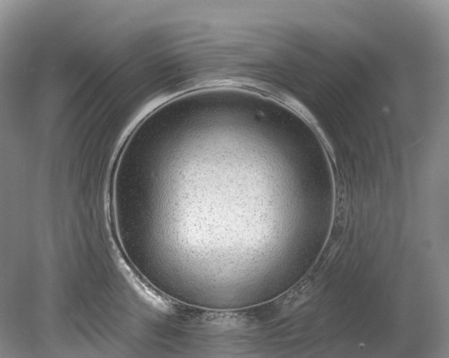 X0000078870811200611201338