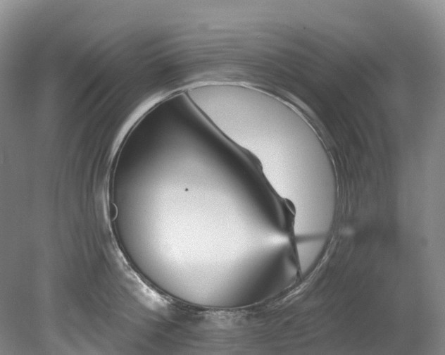 X0000078870812200611201338