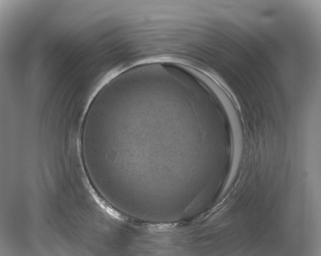 X0000078870813200611201338