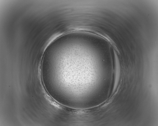 X0000078870814200611201338