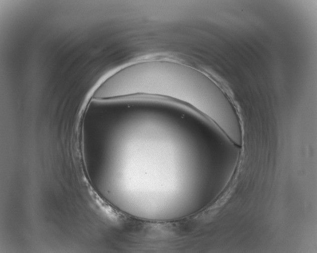 X0000078870816200611201338
