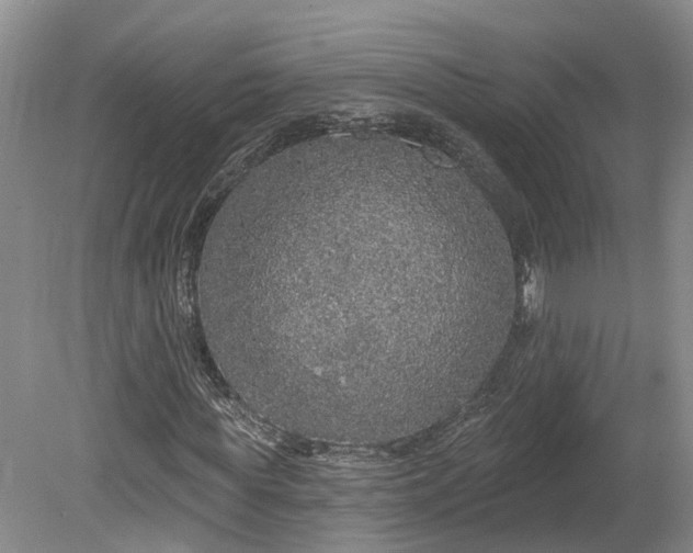 X0000078870819200611201337